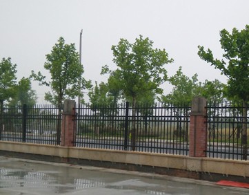 上海铁艺护栏使用案例